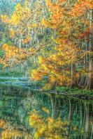 Nature - Autumn Reflections - Digital